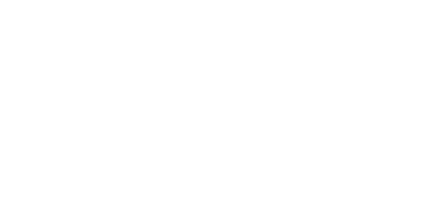 SALT logo